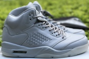 Jordan 5 Pure Platinum